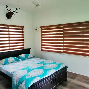 Homestay Noah's Nest Tree House, Thekkady