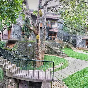 3* Bed and breakfast Wildernest